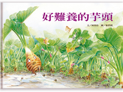 好難養的芋頭